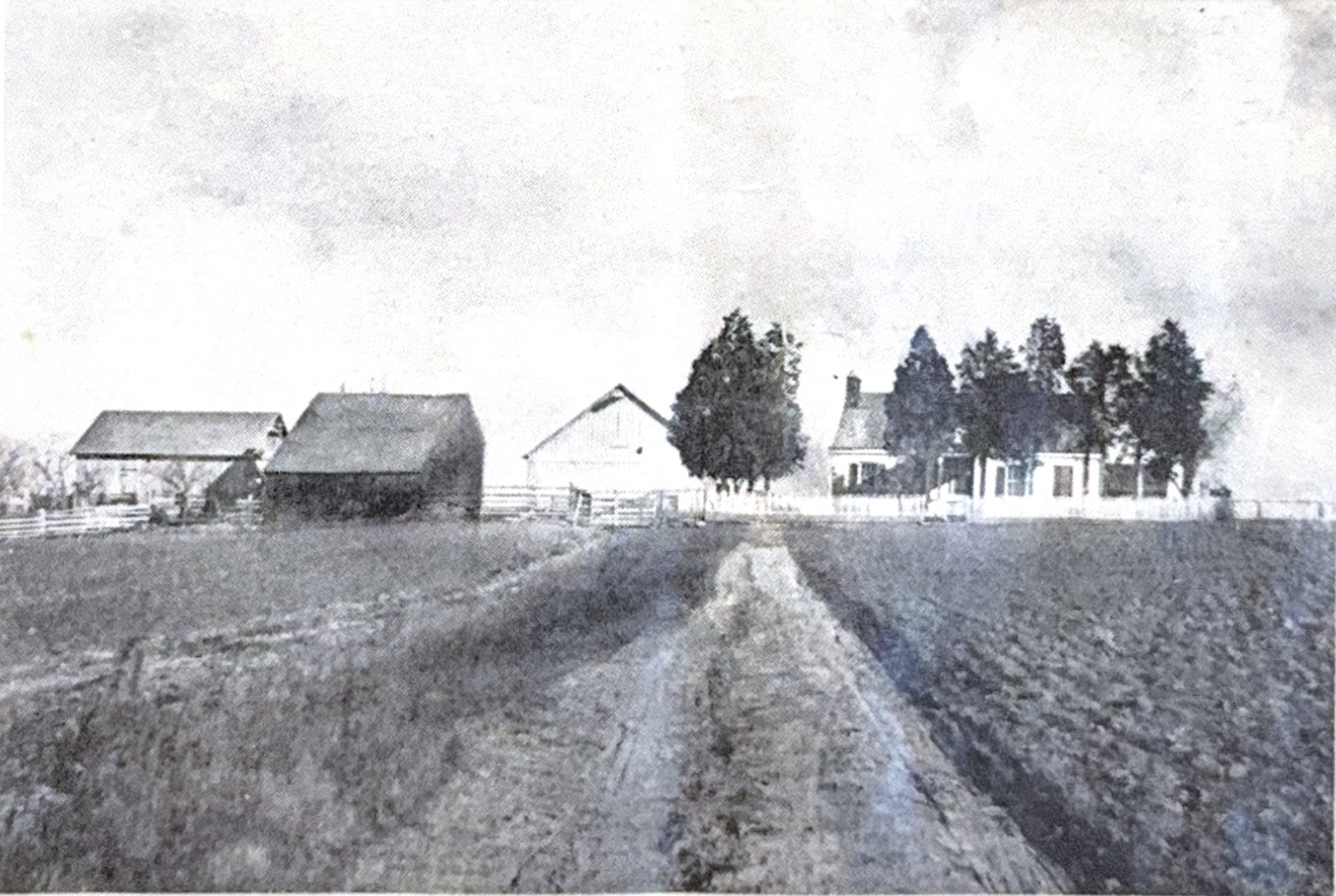 Farm landscape showing buildings and road leading to homestead